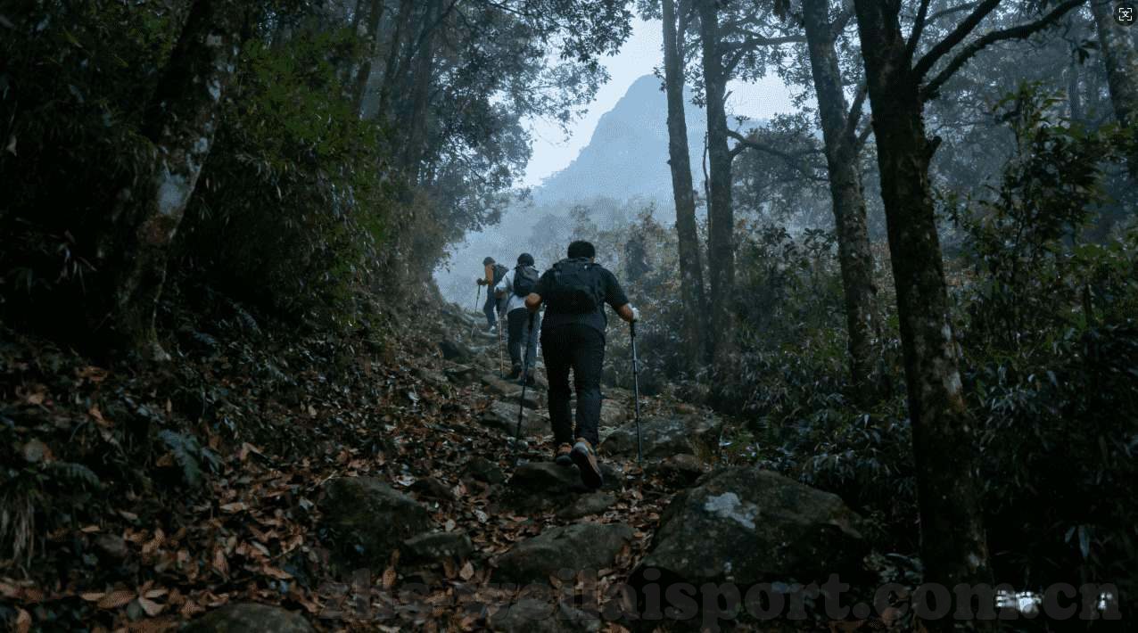 澳门赌场乱码-澳门赌场，一个复杂而独特的文化现象
